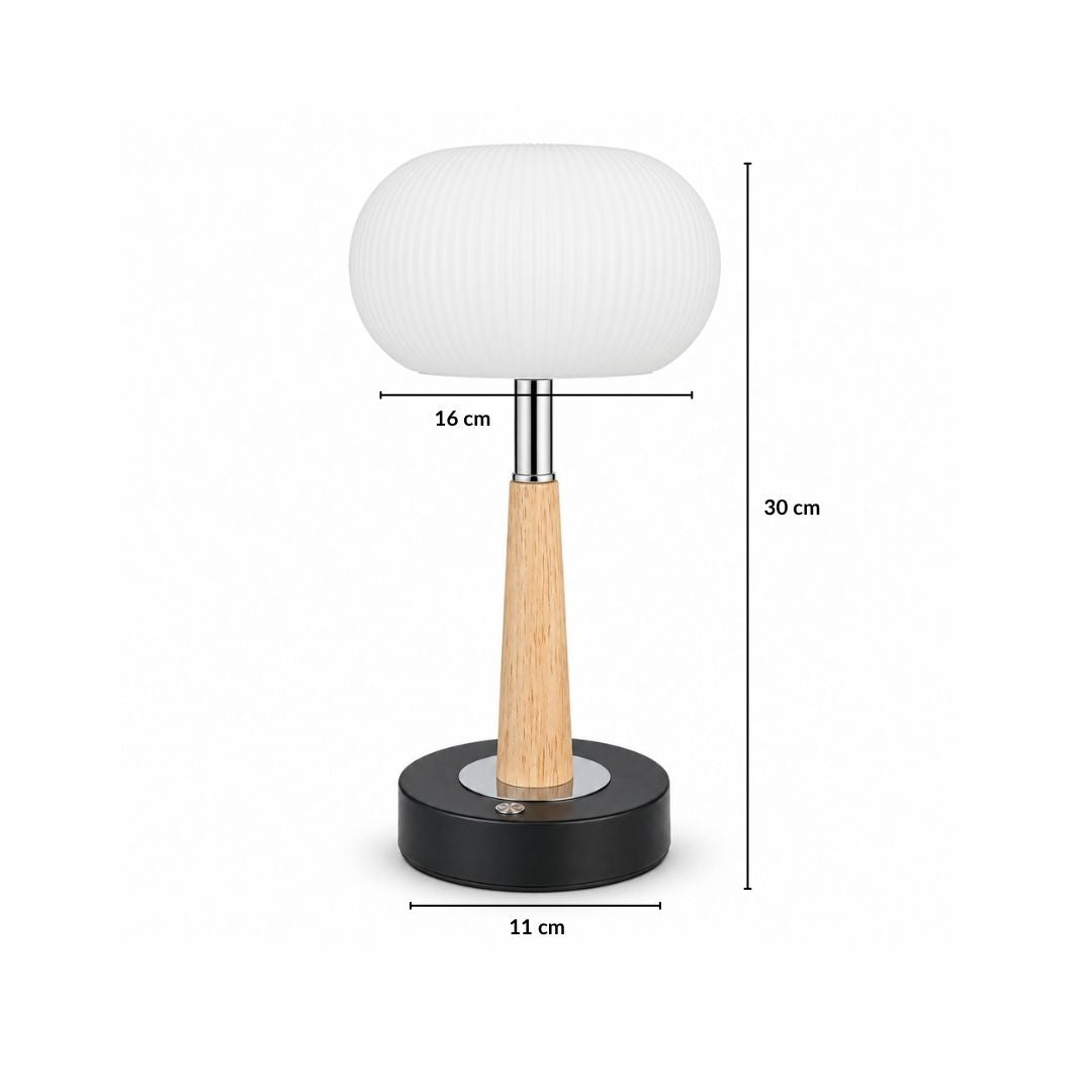 AuraGlow Cordless Touch Tap Lamp