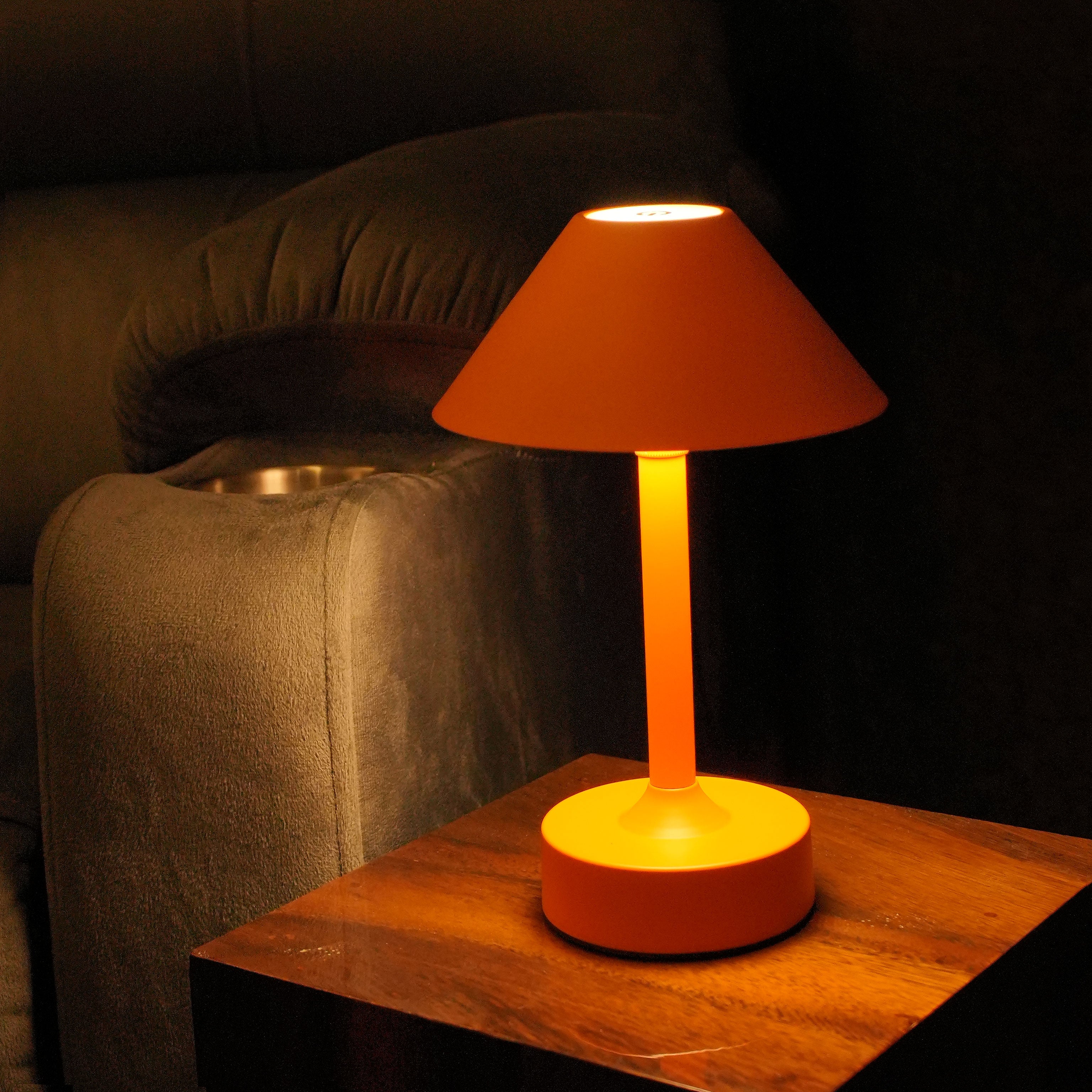 Portable LED Table Lamp
