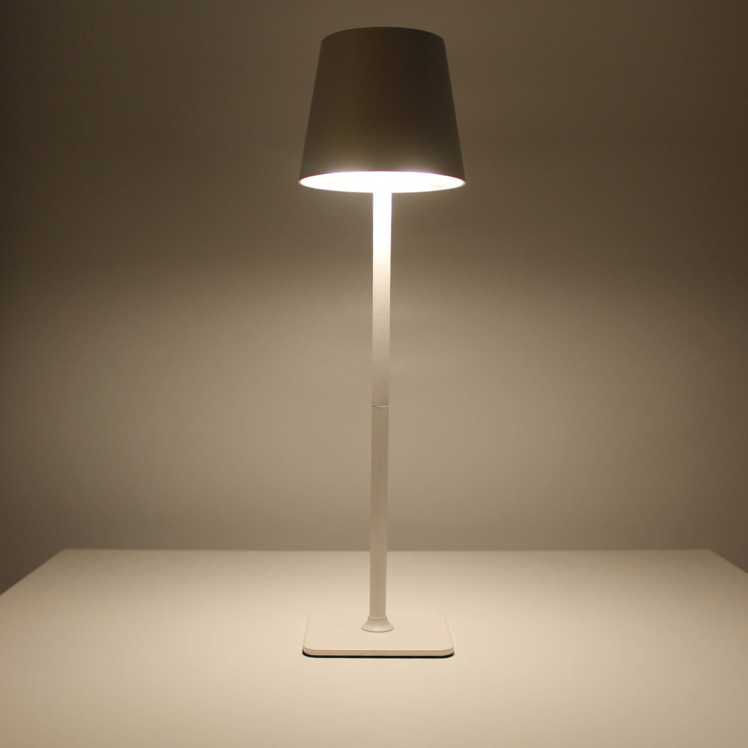 Metal LED Table Lamp