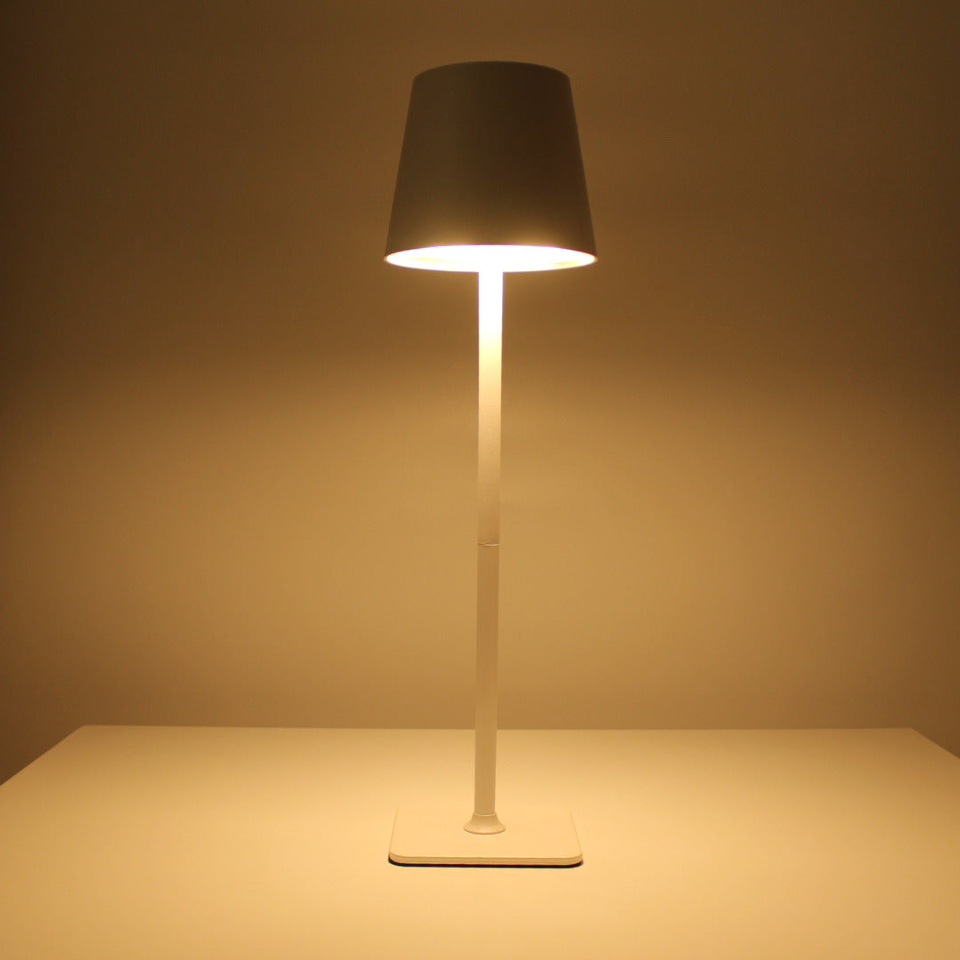 Metal LED Table Lamp