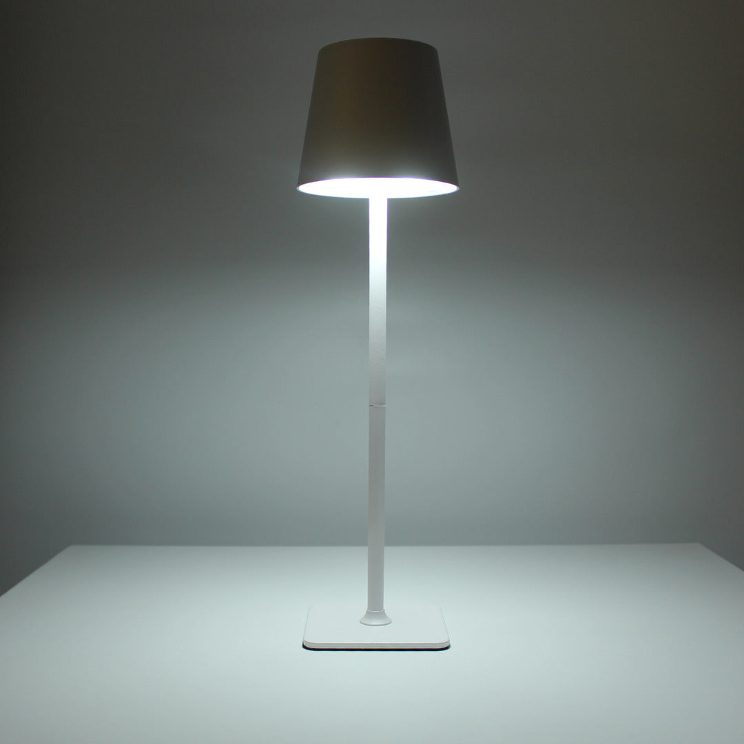 Metal LED Table Lamp