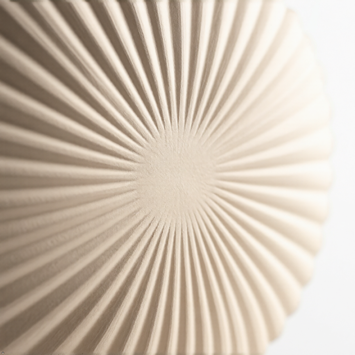 Elegant Scallop Shell Decorative Table Vase